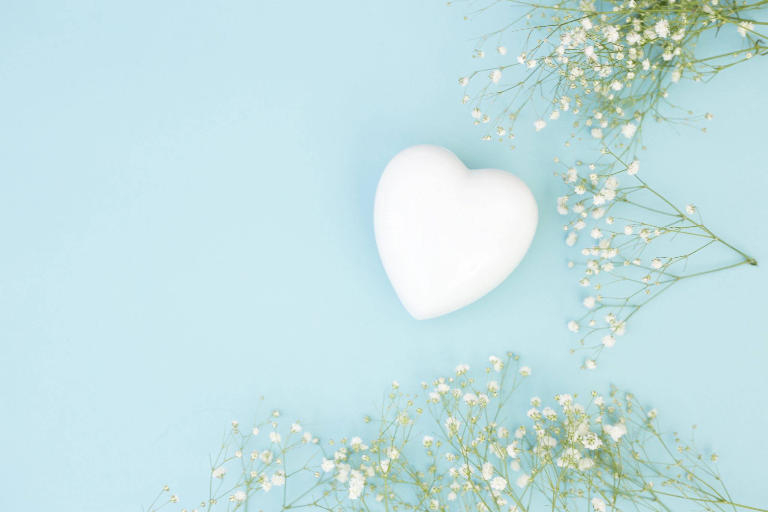 white-decorative-heart-near-plants-scaled